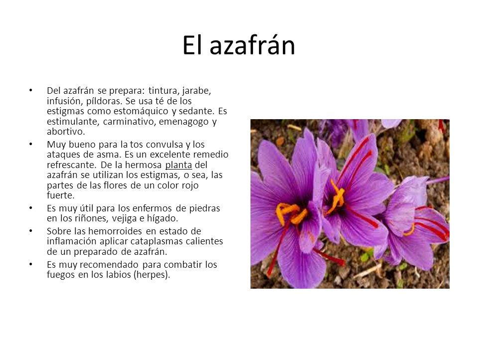 El azafran sirve para adelgazar El azafran sirve para adelgazar